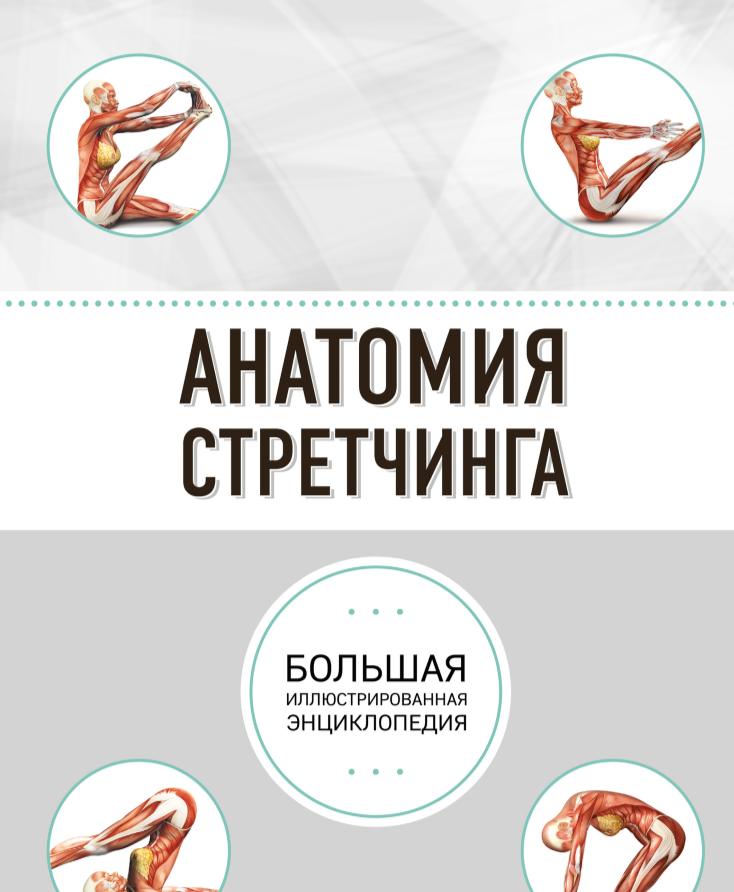 Анатомия стретчинга