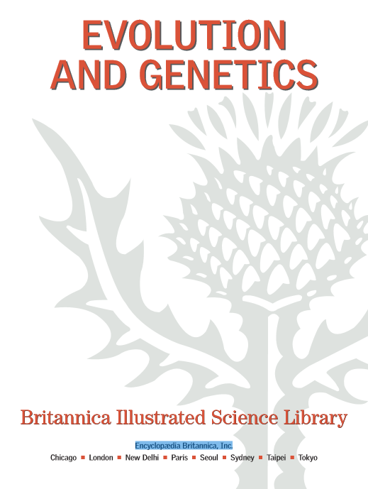 EVOLUTION AND GENETICS