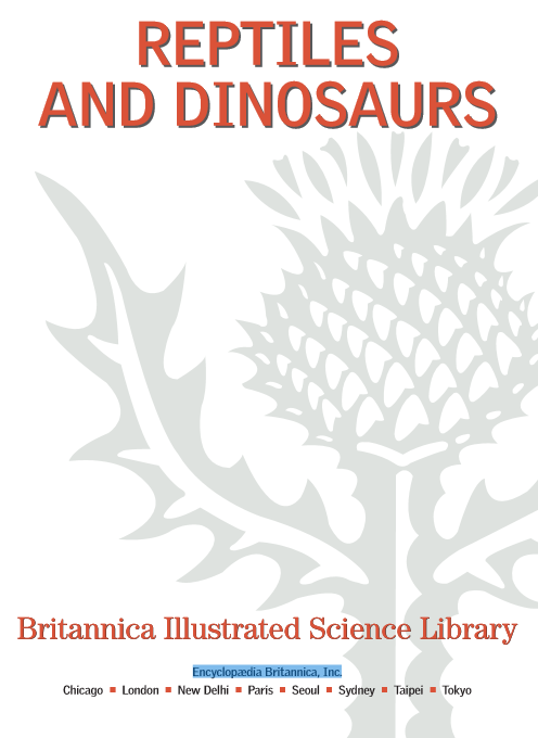 REPTILES AND DINOSAURS
