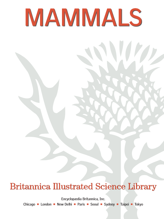 MAMMALS