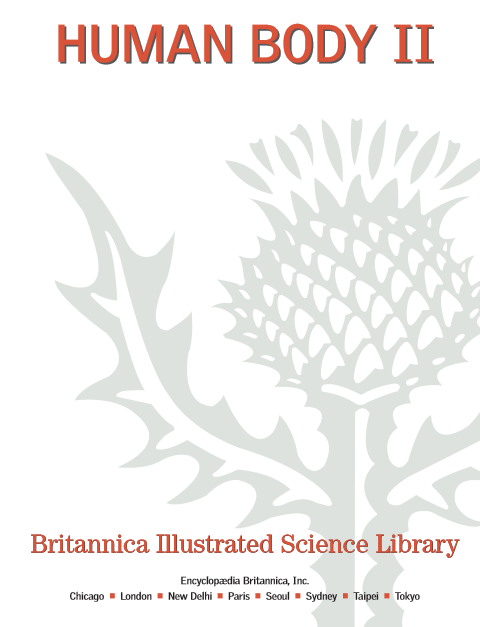 HUMAN BODY II