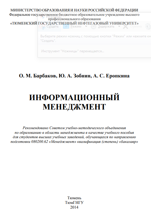 ИНФОРМАЦИОННЫЙ МЕНЕДЖМЕНТ